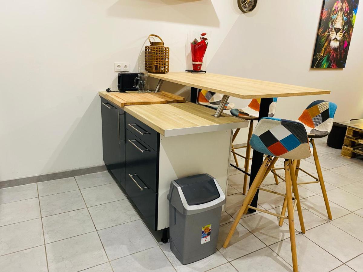 Studio 40M2 Plein Pied Avec Parking Jussac Exterior photo
